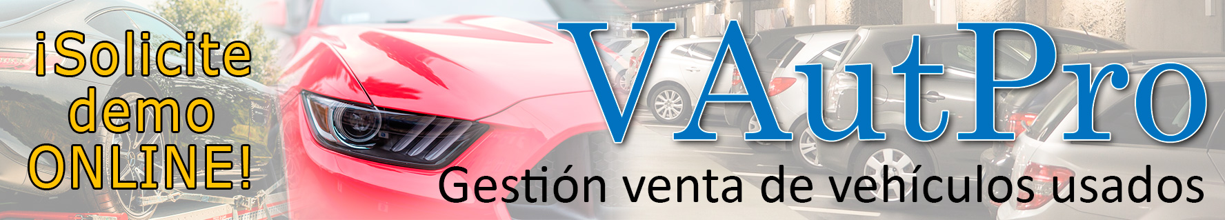 VAutPro: programa para la gestión integral de venta de coches usados.